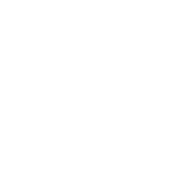 Bolt Xeed