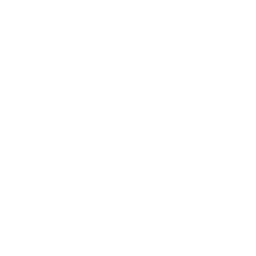 Bolt Pro 3D Printer