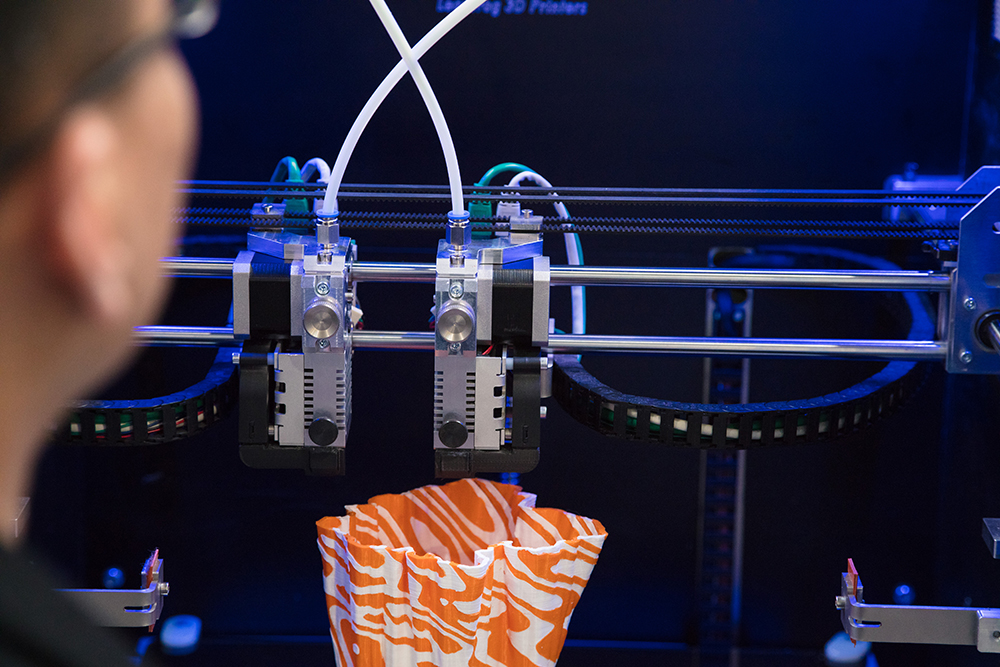 Leapfrog, 3D printing, teaching